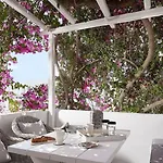 Delmar & Milos - Delmar Collection 2*