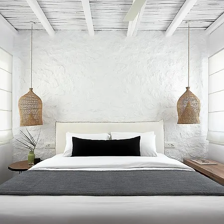 Delmar & Milos - Delmar Collection بولونيا