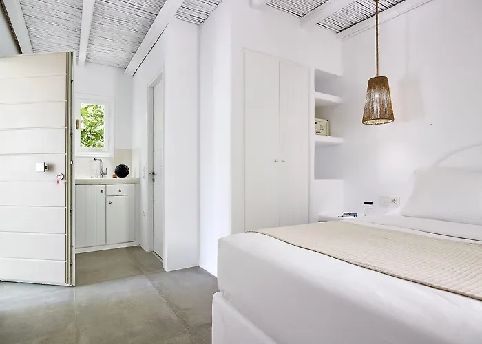 Delmar & Milos - Delmar Collection Pollonia